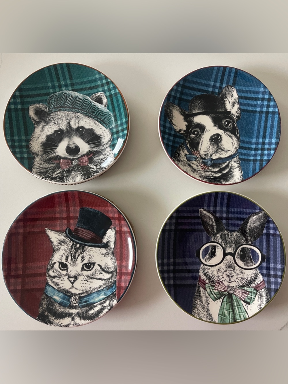 Pier 1 Decorative Small Pet-Themed Plate Set of 4 in Red, Green, Blue, & Purple